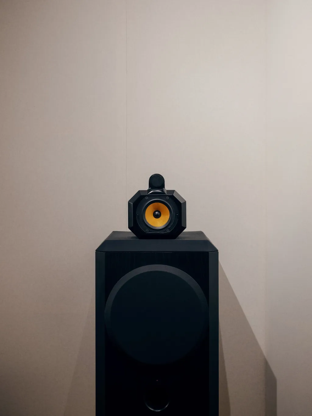 Custom Bowers & Wilkins 801 Matrix S2 monitor
